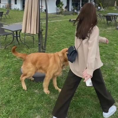 康熙微服私访记